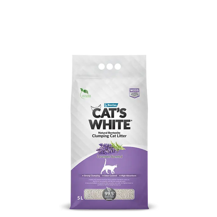 Cat's White 10L