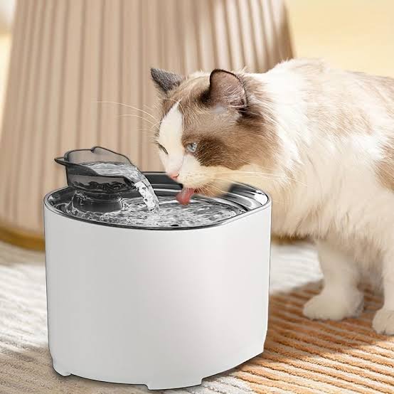 Pet Water Fountain With Sensor