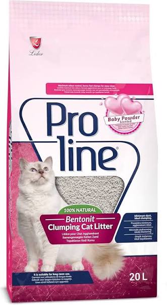Proline 10L
